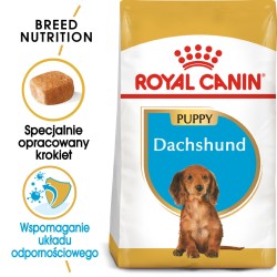ROYAL CANIN Dachshund Puppy karma sucha dla szczeniąt do 10. miesiąca, rasy jamnik 1,5 kg