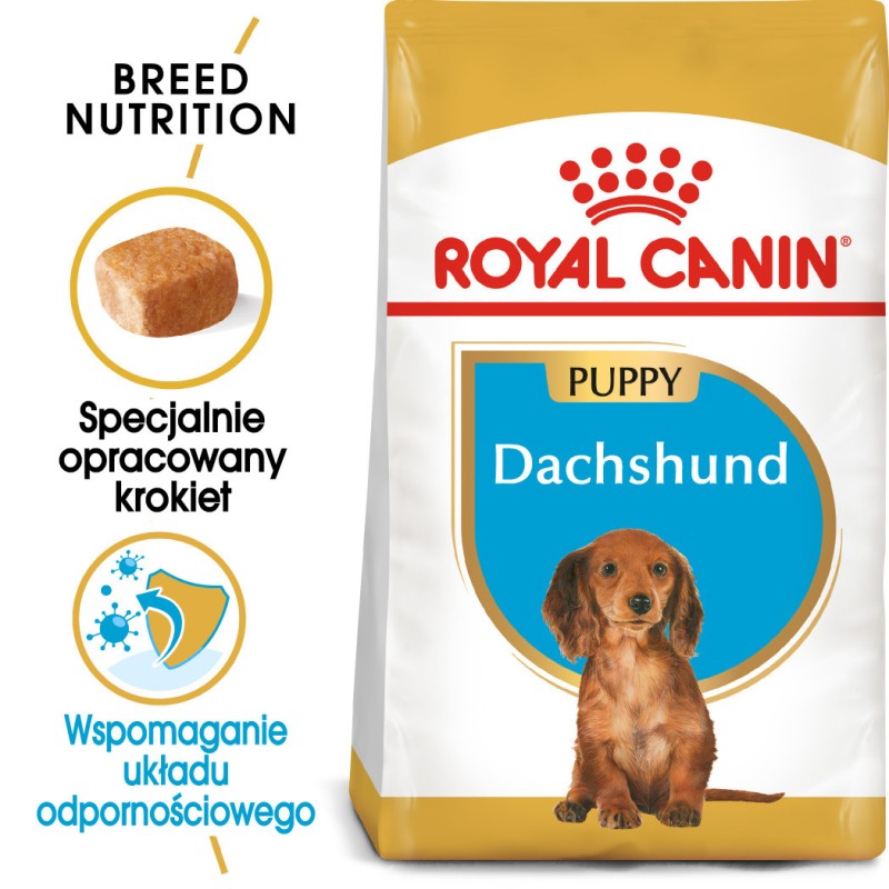 ROYAL CANIN Dachshund Puppy karma sucha dla szczeniąt do 10. miesiąca, rasy jamnik 1,5 kg