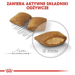 ROYAL CANIN CCN Mini Exigent karma sucha dla psów dorosłych ras małych, wybrednych 1 kg