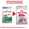 ROYAL CANIN CCN Mini Exigent karma sucha dla psów dorosłych ras małych, wybrednych 3 kg