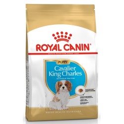 ROYAL CANIN Cavalier King Charles Puppy karma sucha dla szczeniąt do 10 miesiąca, rasy cavalier king charles spaniel 2x 1,5kg