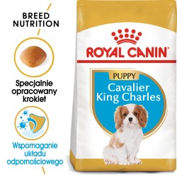ROYAL CANIN Cavalier King Charles Puppy karma sucha dla szczeniąt do 10 miesiąca, rasy cavalier king charles spaniel 1,5 kg