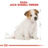 ROYAL CANIN Jack Russell Terrier Puppy karma sucha dla szczeniąt do 10 miesiąca, rasy Jack Russel Terrier 3 kg