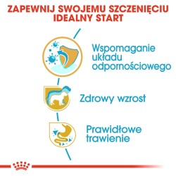 ROYAL CANIN Jack Russell Terrier Puppy karma sucha dla szczeniąt do 10 miesiąca, rasy Jack Russel Terrier 0,5kg