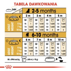 ROYAL CANIN Jack Russell Terrier Puppy karma sucha dla szczeniąt do 10 miesiąca, rasy Jack Russel Terrier 0,5kg