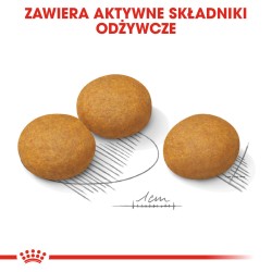ROYAL CANIN Maxi Dermacomfort karma sucha dla psów dorosłych, ras dużych, o wrażliwej skórze, skłonnej do podrażnień 12 kg