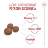 ROYAL CANIN Medium Puppy karma sucha dla szczeniąt, od 2. do 12. miesiąca, ras średnich 15 kg