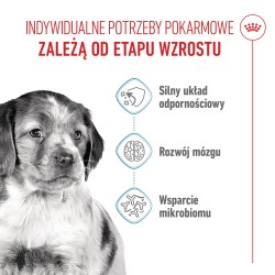 ROYAL CANIN Medium Puppy karma sucha dla szczeniąt, od 2. do 12. miesiąca, ras średnich 4 kg