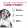 ROYAL CANIN Medium Puppy karma sucha dla szczeniąt, od 2. do 12. miesiąca, ras średnich 2x 15kg