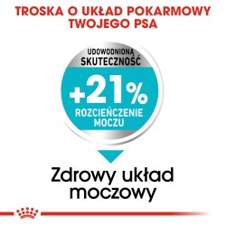 ROYAL CANIN Mini Urinary Care karma sucha dla psów dorosłych, ras małych, ochrona dolnych dróg moczowych 2x 8kg