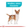 ROYAL CANIN Mini Urinary Care karma sucha dla psów dorosłych, ras małych, ochrona dolnych dróg moczowych 8kg