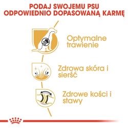 ROYAL CANIN German Shepherd Adult karma sucha dla psów dorosłych rasy owczarek niemiecki 2x 11kg