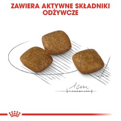 ROYAL CANIN CCN Mini Relax Care karma sucha dla psów dorosłych, ras małych, narażonych na działanie stresu 8kg