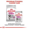 ROYAL CANIN CCN Mini Relax Care karma sucha dla psów dorosłych, ras małych, narażonych na działanie stresu 8kg