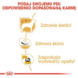 ROYAL CANIN West Highland White Terrier Adult karma sucha dla psów dorosłych rasy west highland white terrier 500g