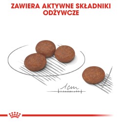 ROYAL CANIN CCN Mini Digestive Care karma sucha dla psów dorosłych, ras małych o wrażliwym przewodzie pokarmowym 1 kg