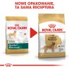 ROYAL CANIN Golden Retriever Adult karma sucha dla psów dorosłych rasy golden retriever 12kg