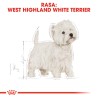 ROYAL CANIN West Highland White Terrier Adult karma sucha dla psów dorosłych rasy west highland white terrier 1,5 kg