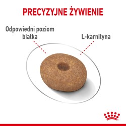 ROYAL CANIN Mini Light Weight Care karma sucha dla psów dorosłych ras małych, z tendencją do nadwagi 8kg