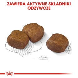 ROYAL CANIN Maxi Dental Care karma sucha dla psów dorosłych, ras dużych, redukująca powstawanie kamienia nazębnego 9 kg