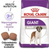 ROYAL CANIN Giant Adult karma sucha dla psów dorosłych ras olbrzymich od 18 / 24 miesiąca życia 15 kg