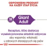 ROYAL CANIN Giant Adult karma sucha dla psów dorosłych ras olbrzymich od 18 / 24 miesiąca życia 15 kg