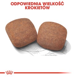 ROYAL CANIN Giant Adult karma sucha dla psów dorosłych ras olbrzymich od 18 / 24 miesiąca życia 15 kg