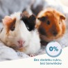 BEAPHAR Care+ Guinea Pig - karma dla świnki morskiej 1,5kg