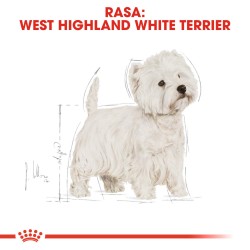 ROYAL CANIN West Highland White Terrier Adult karma sucha dla psów dorosłych rasy west highland white terrier 4x 3kg