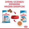ROYAL CANIN Medium Puppy karma mokra w sosie dla szczeniąt ras średnich, do 12 miesiąca 140g