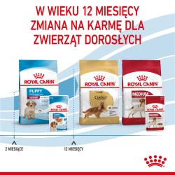 ROYAL CANIN Medium Puppy karma mokra w sosie dla szczeniąt ras średnich, do 12 miesiąca 140g