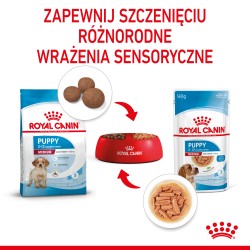 ROYAL CANIN Medium Puppy karma mokra w sosie dla szczeniąt ras średnich, do 12 miesiąca 10x 140g