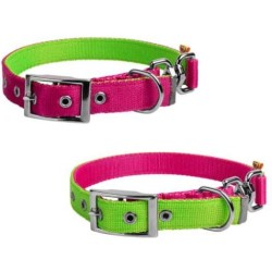 DINGO Obroża dwustronna 2,5cm x 65cm (43-53 cm) - różowo-zielona