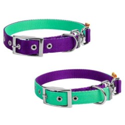 DINGO Obroża dwustronna 2,5cm x 65cm (43-53 cm) - fioletowo-miętowa