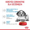 ROYAL CANIN Medium Puppy karma mokra w sosie dla szczeniąt ras średnich, do 12 miesiąca 20x 140g