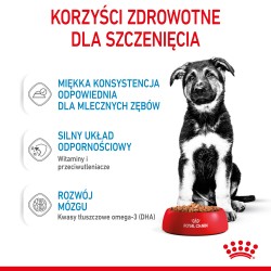 ROYAL CANIN Maxi Puppy karma mokra w sosie dla szczeniąt ras dużych, do 15 miesiąca życia 140g