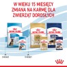 ROYAL CANIN Maxi Puppy karma mokra w sosie dla szczeniąt ras dużych, do 15 miesiąca życia 140g