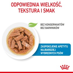 ROYAL CANIN Maxi Puppy karma mokra w sosie dla szczeniąt ras dużych, do 15 miesiąca życia 10x 140g
