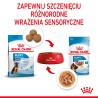 ROYAL CANIN Maxi Puppy karma mokra w sosie dla szczeniąt ras dużych, do 15 miesiąca życia 20x 140g