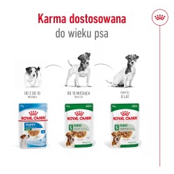 ROYAL CANIN Mini Adult karma mokra, kawałki w sosie dla psów dorosłych, ras małych 12x 85g