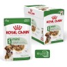ROYAL CANIN Mini Adult karma mokra, kawałki w sosie dla psów dorosłych, ras małych 24x 85g