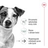 ROYAL CANIN Mini Ageing karma mokra, kawałki w sosie dla psów dojrzałych, ras małych 12x 85g