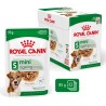 ROYAL CANIN Mini Ageing karma mokra, kawałki w sosie dla psów dojrzałych, ras małych 12x 85g