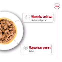 ROYAL CANIN Mini Ageing karma mokra, kawałki w sosie dla psów dojrzałych, ras małych 24x 85g