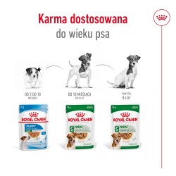 ROYAL CANIN Mini Ageing karma mokra, kawałki w sosie dla psów dojrzałych, ras małych 24x 85g