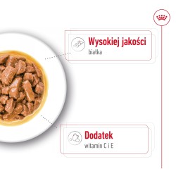 ROYAL CANIN Medium Adult karma mokra w sosie dla psów dorosłych ras średnich 10x 140g