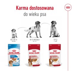 ROYAL CANIN Medium Adult karma mokra w sosie dla psów dorosłych ras średnich 10x 140g