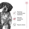 ROYAL CANIN Medium Adult karma mokra w sosie dla psów dorosłych ras średnich 20x 140g
