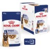 ROYAL CANIN Maxi Adult karma mokra, kawałki w sosie dla psów dorosłych, ras dużych 140g