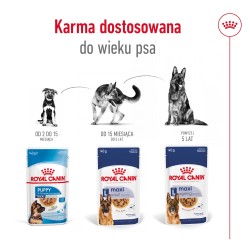 ROYAL CANIN Maxi Adult karma mokra, kawałki w sosie dla psów dorosłych, ras dużych 20x 140g